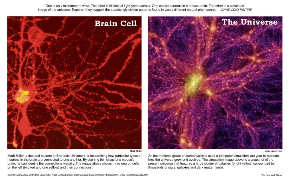 The universe next to brain cell