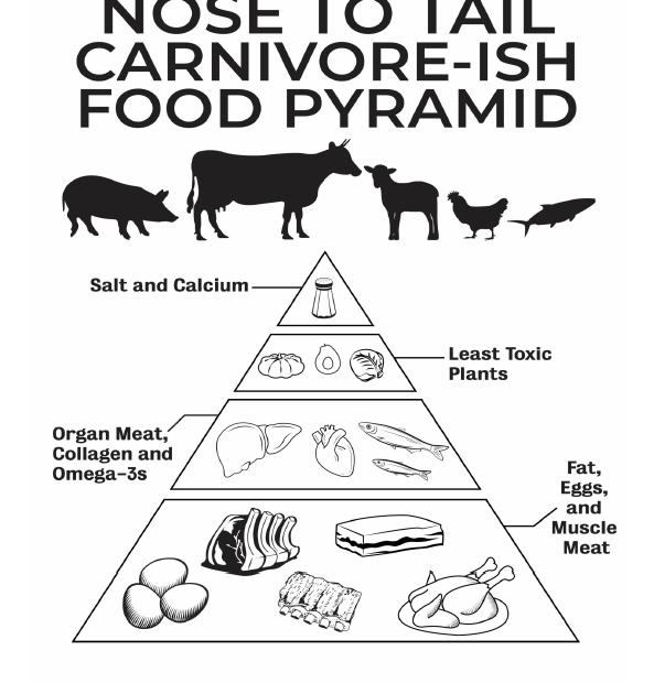 The Carnivore Food Pyramid