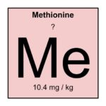 5. Methionine
