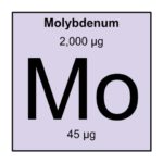 16. Molybdenum