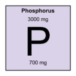 11. Phosphorus