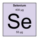 12. Selenium